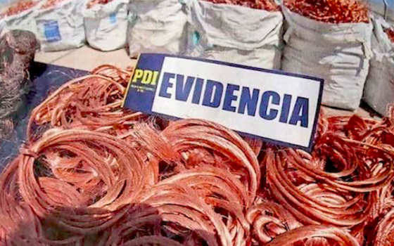 Madera, cobre y trata de personas: las otras áreas lucrativas en las que actúa el crimen organizado
