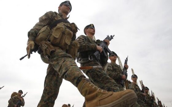 ¿A qué se dedican las Fuerzas Armadas?
