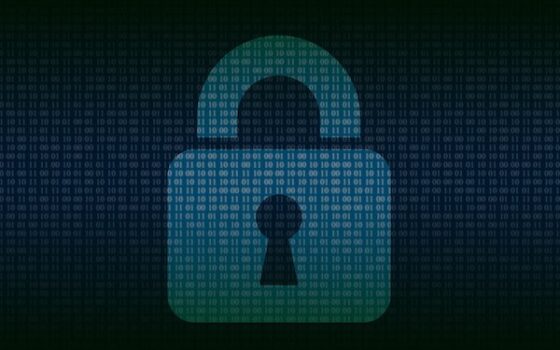 Seguridad y ciberseguridad: precisiones sobre una tarea compartida