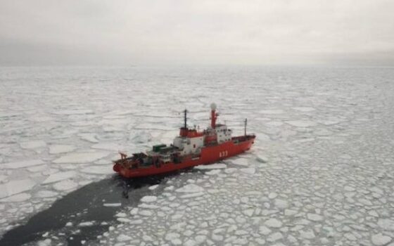 Soberanía para la conservación del mar austral y la Antártica