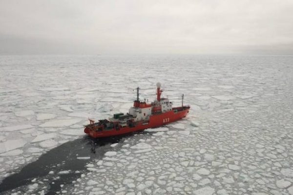 Soberanía para la conservación del mar austral y la Antártica