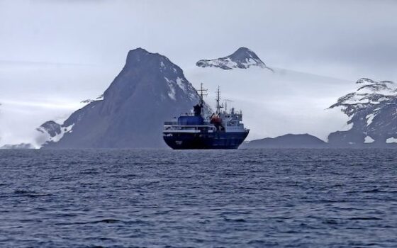 Millones de kilómetros cuadrados de austro chileno en la constitución