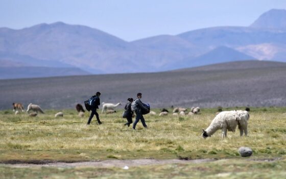 Migración y seguridad: Faltó precisar