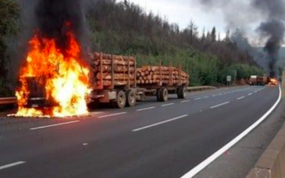 How Illegal Logging Became a National Security Crisis in Chile