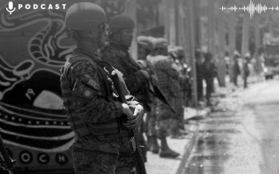 ENTREVISTA | Investigadora de Athenalab: «Hay que ser cuidadosos cuando involucramos militares con temas de seguridad pública»