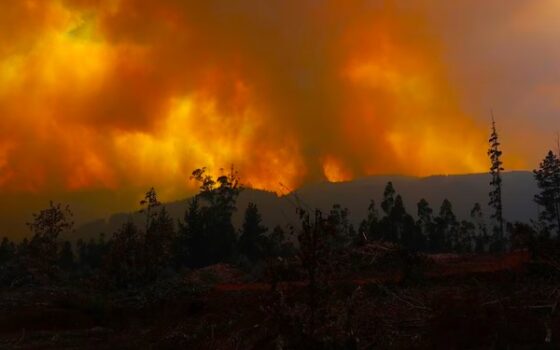 Incendios en Chile: Un recordatorio de nuestra vulnerabilidad frente al clima￼