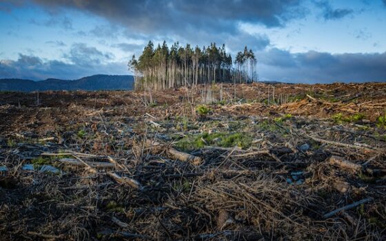 ANÁLISIS | Cambio climático y seguridad