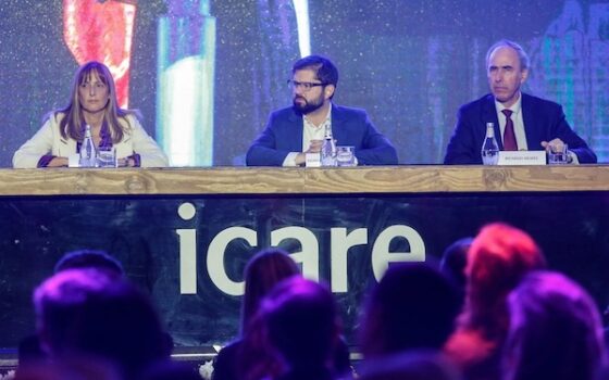 El empedrado no tiene la culpa