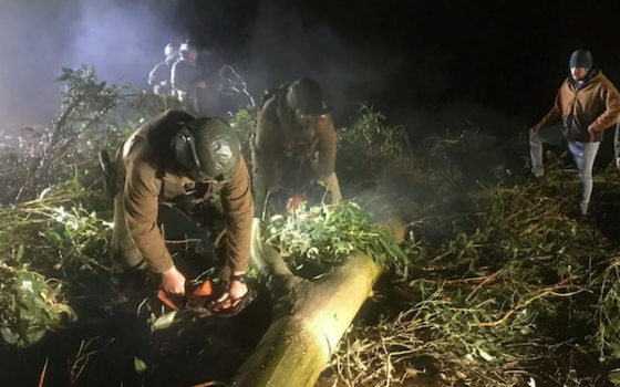 Araucanía: camiones quemados, más que sólo violencia