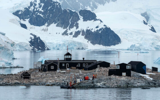 CARTA | La Antártica en el proyecto constitucional