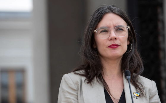 La crisis de seguridad de la vocera