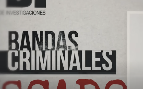 Director ejecutivo es entrevistado por T13 sobre bandas criminales
