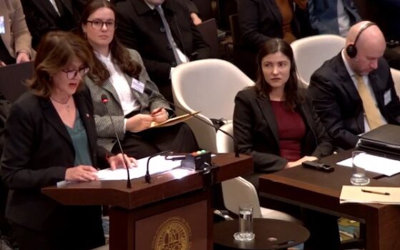 Chile ante La Haya por conflicto Palestina-Israel: cabos sueltos