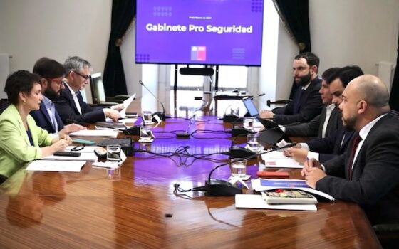 Seguridad: el otro diagnóstico