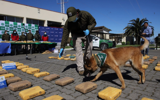 La lógica del modelo de negocios del crimen organizado
