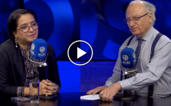 ENTREVISTA | Chile y su política exterior: “Hay un déficit en la planificación estratégica y en la comunicación”￼