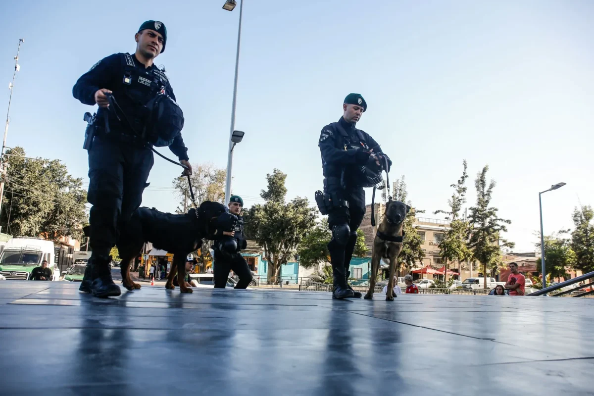 COLUMNA | El Tren de Aragua y Los Piratas: ¿Qué está en juego?