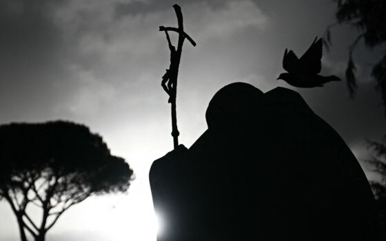 LEGADO | La impronta internacional del Papa Francisco: incorporar la diversidad