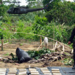 COLUMNA | Entre Colombia y México: Aprendizajes del combate al narcotráfico