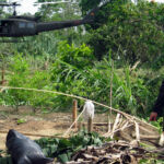 COLUMNA | Entre Colombia y México: Aprendizajes del combate al narcotráfico