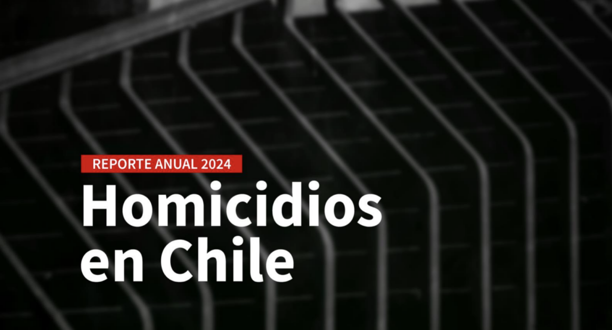 COMENTARIO | Las diez claves del Reporte Anual de Homicidios en Chile 2024
