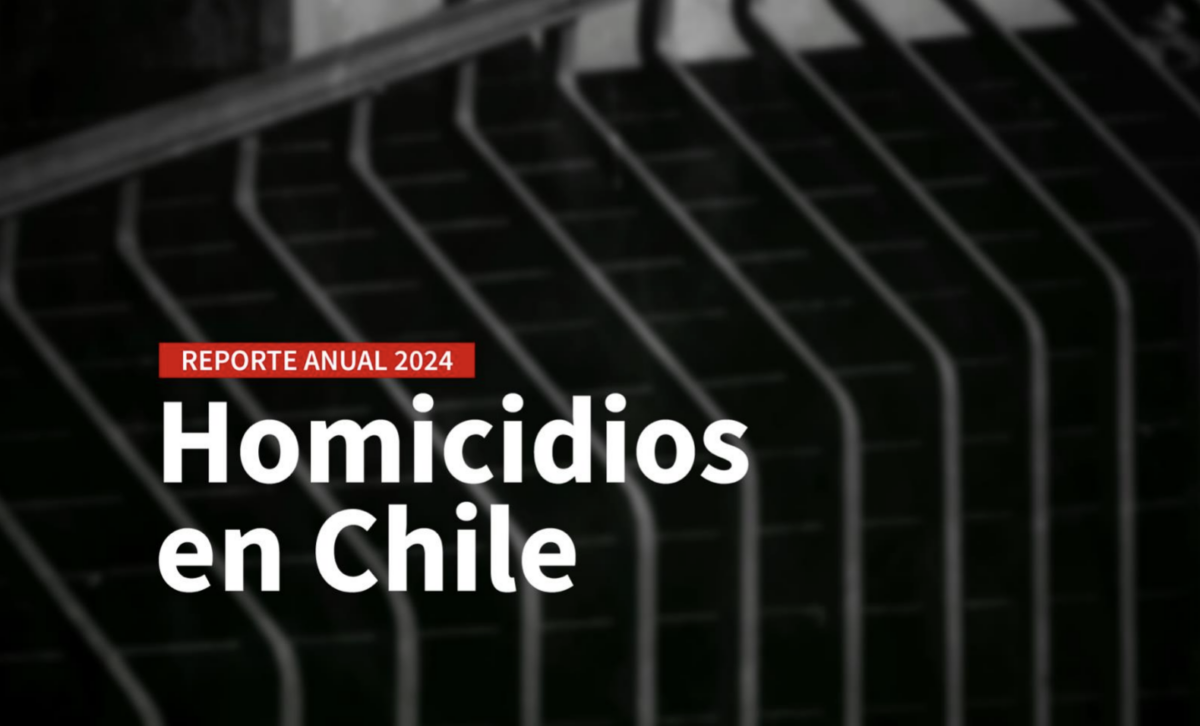 COMENTARIO | Las diez claves del Reporte Anual de Homicidios en Chile 2024