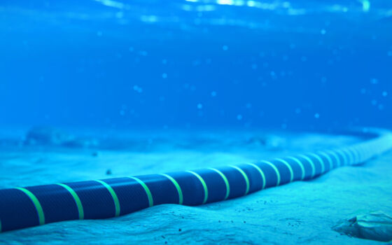 ANÁLISIS | Lecciones del cable submarino China Express