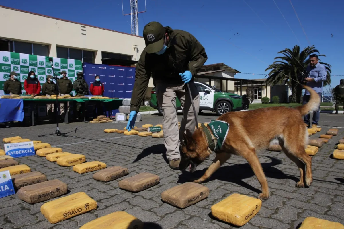 La lógica del modelo de negocios del crimen organizado