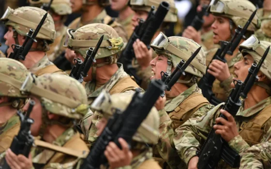 Sobre el estado de la Defensa Nacional de Chile